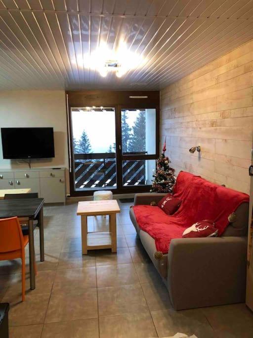 Residence Les Martinets, Grand Studio Vue Degagee, 4 Couchages, Cellier, Meuble De Tourisme 3 Etoiles, Parking Gratuit シャンルッス エクステリア 写真