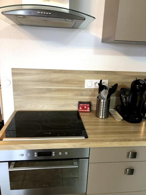 Residence Les Martinets, Grand Studio Vue Degagee, 4 Couchages, Cellier, Meuble De Tourisme 3 Etoiles, Parking Gratuit シャンルッス エクステリア 写真